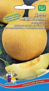 Дыня награда