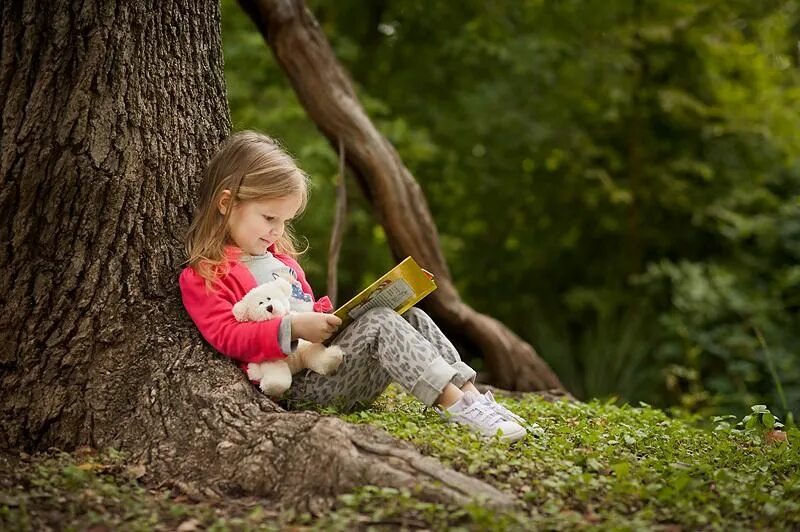 Under the tree