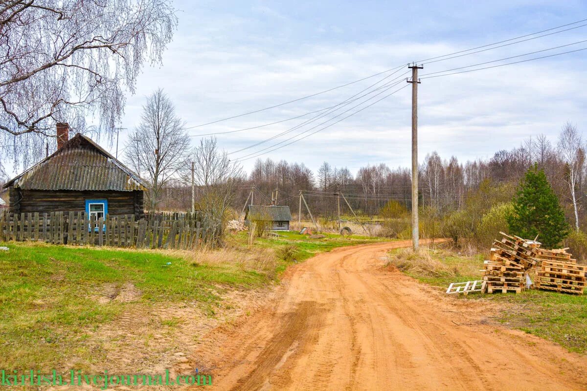 Погода зеленцово никольского вологодской. Милофаново Никольский район Вологодская область. Кумбисер Никольский район деревня Вологодская. Зеленцово Вологодская область Никольский район. Деревня Чернцово Вологодская область.