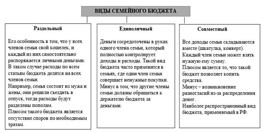 Плюсы семейного бюджета. Типы семейного бюджета. Виды бюджета семьи. Типы семейного бюджета схема. Типы семейного бюджета совместный.