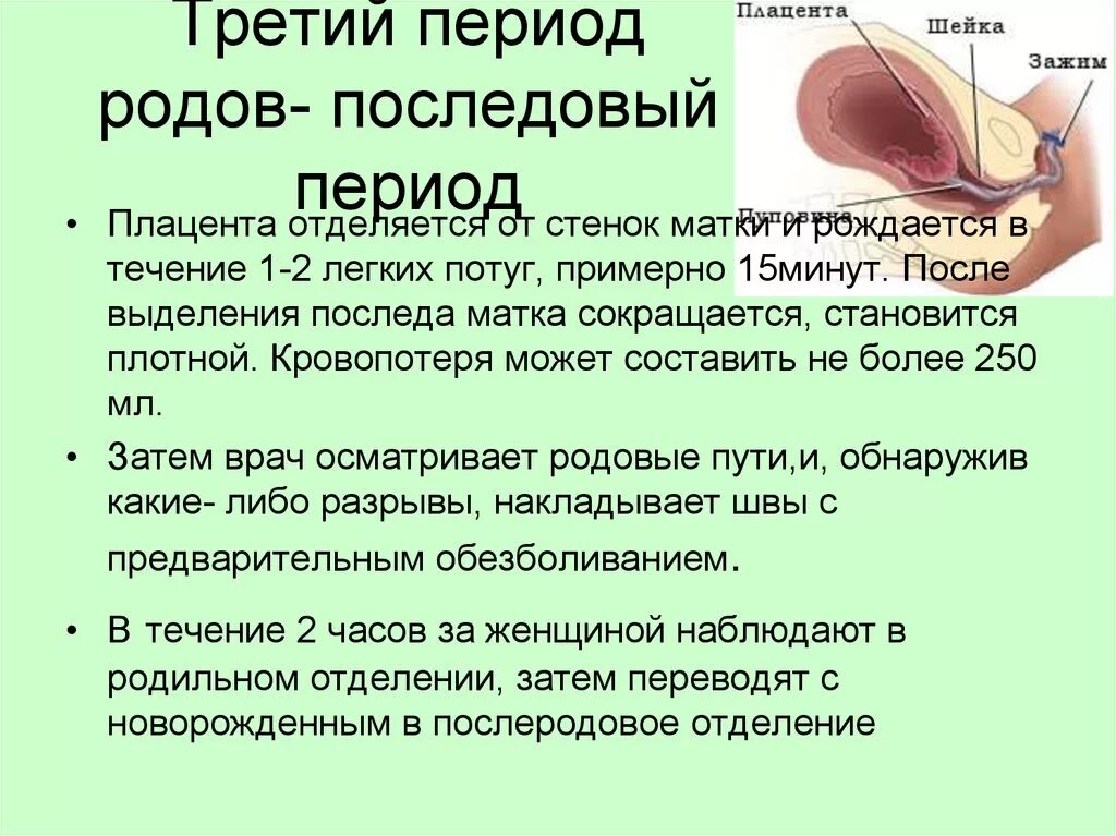 Признаки третьих родов. Периоды родов 3 период. Последовый период 3 период родов. Отделения плаценты в третьем периоде родов. Характеристика 1 периода родов.