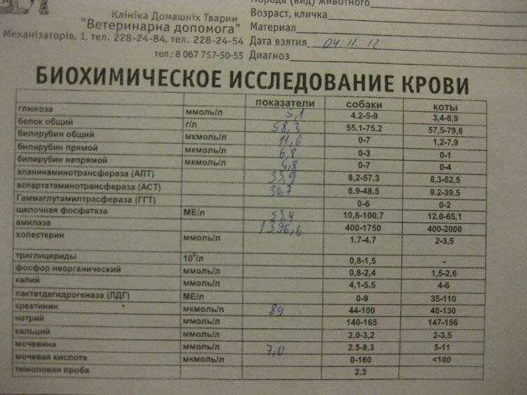 Анализы печени алт. Биохимия анализ крови показатели АСТ что это. Биохимический анализ крови алт норма. АСТ биохимия крови норма. Печеночные показатели биохимического анализа крови нормы.