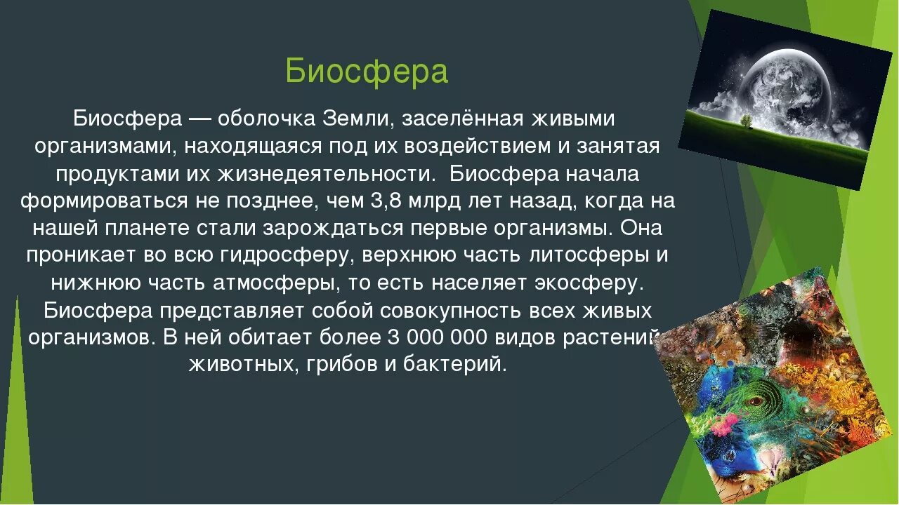 Какую роль играет биосфера в жизни людей. Живые организмы на земле. Биосфера земная оболочка. Сообщение о биосфере. Биосфера презентация.