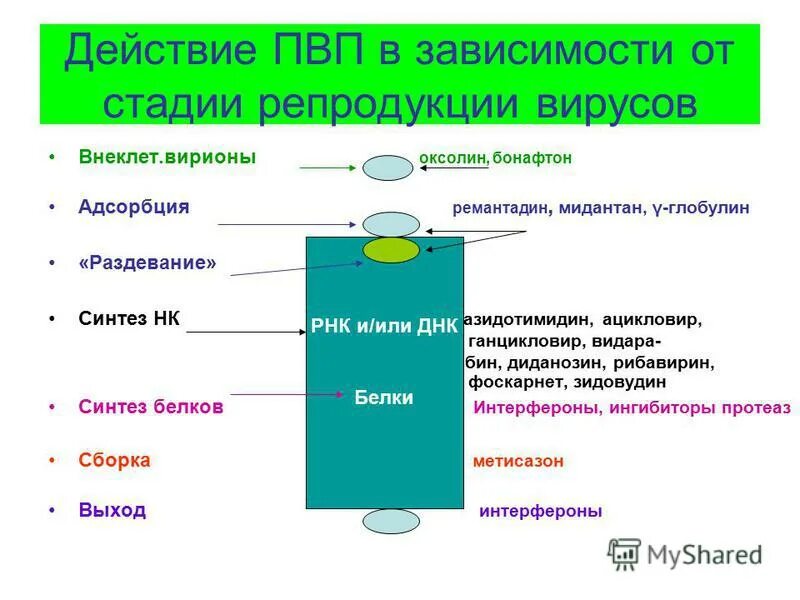 Сколько какие вещества выводятся из организма. Влияние амфетамина на человека. Метилендиоксипировалерон (мдпв). Последствия употребления альфа пвп. Через сколько действует альфа.