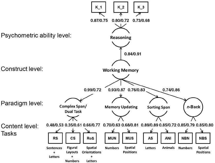 Complex span. Working Memories. Таск + спин. Wayfair model complexity Levels.