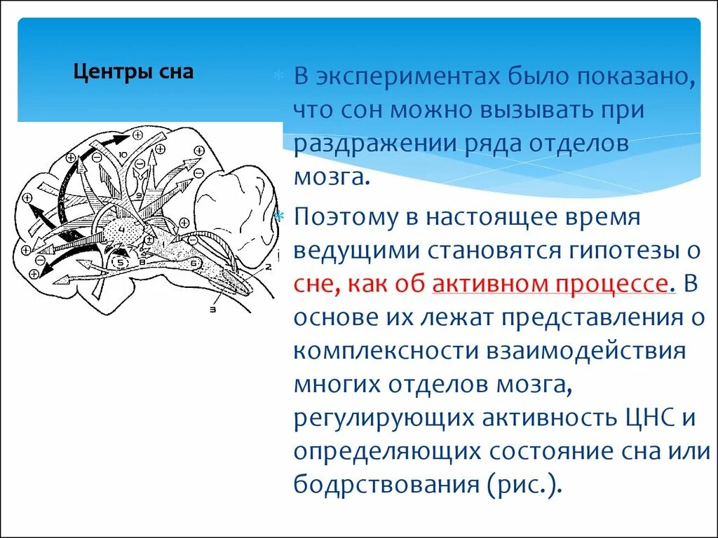 Физиологические процессы сна. Механизмы сна и бодрствования. Центр бодрствования в головном мозге. Механизмы бодрствования и сна физиология. Нейрофизиологические механизмы сна и бодрствования.