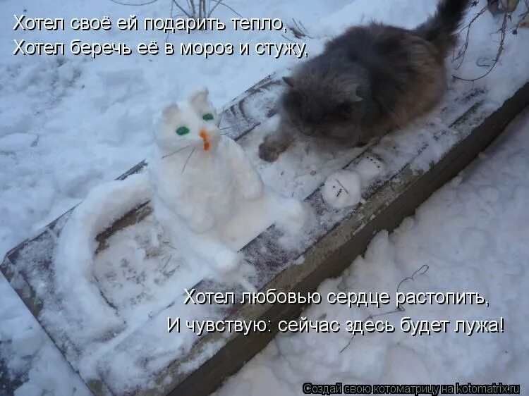 лето ты где. где тепло тут и. дождались снега. холод собачий. родина там где.