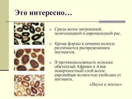 Кроме формы