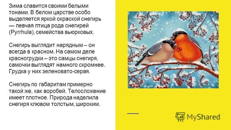 Ледяной дворец снежной королевы. Хроники нарнии ледяной дворец. Волшебница-зима. Стихи о зиме красивые. Проект путешествие в прошлое нового года для детей.