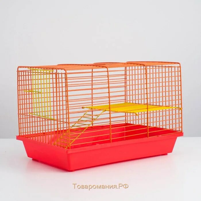 Четыре лапы клетки для грызунов. Испуганный хомяк. Ты крыса я крыса. Хомяк 4в1. Клетка для хомяка четыре лапы.