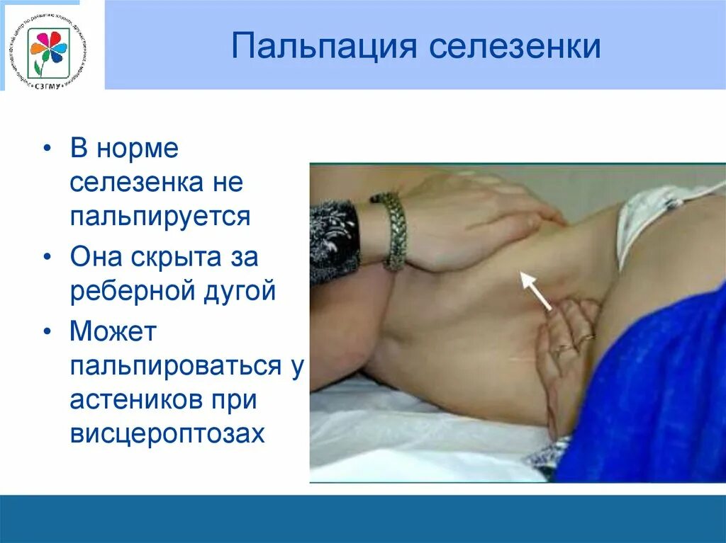 Что будет если человеку удалить селезенку