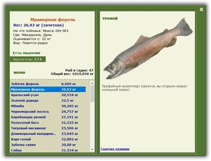Спиннинг прудовая форель. Русская рыбалка радужная форель. Форель на живца. Блесна на кумжу кумжу. Снасть на форель озерную.