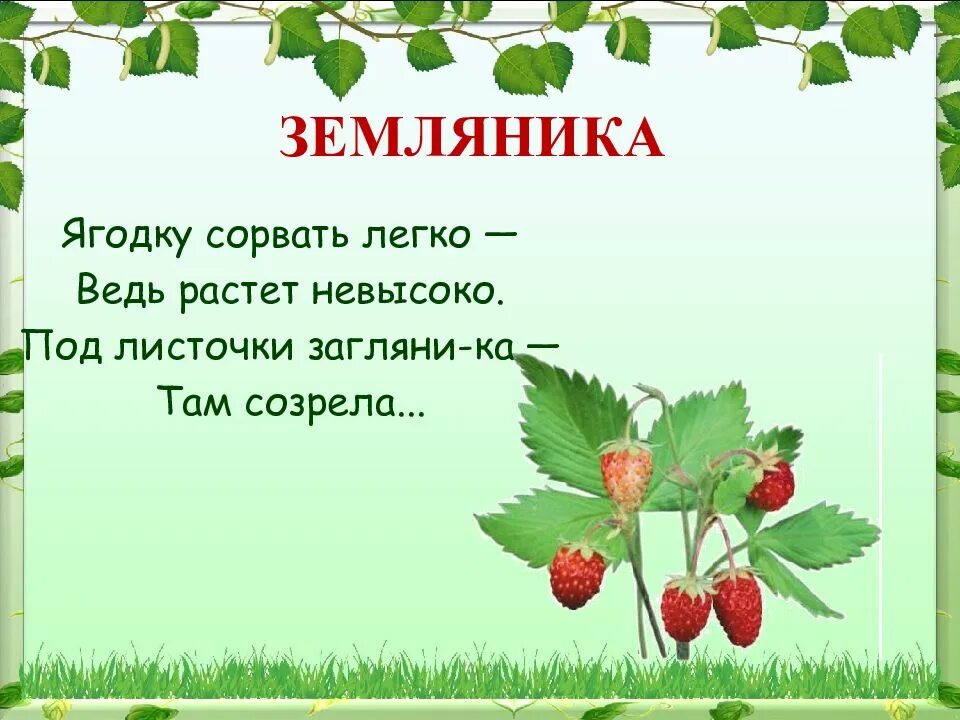 Землянику часть речи. Загадки про землянику для дошкольников. Загадка про землянику. Загадка про землянику для детей. Загадка про клубнику.