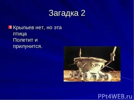Крыльев нет