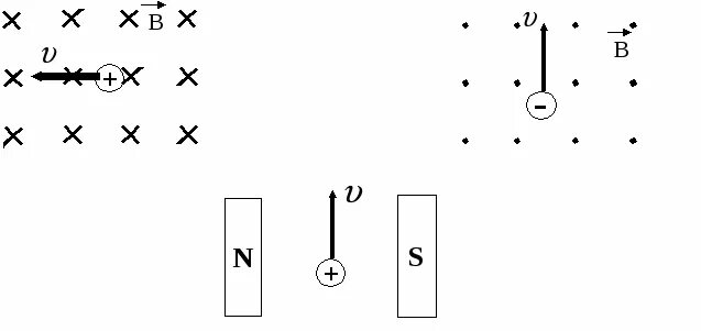 Определите направление силы лоренца действующую на протон. Правило левой руки Лоренца задачи. Сила Лоренца правило левой руки. Направление силы Лоренца по рисунку. Сила Лоренца правило левой руки задачи.