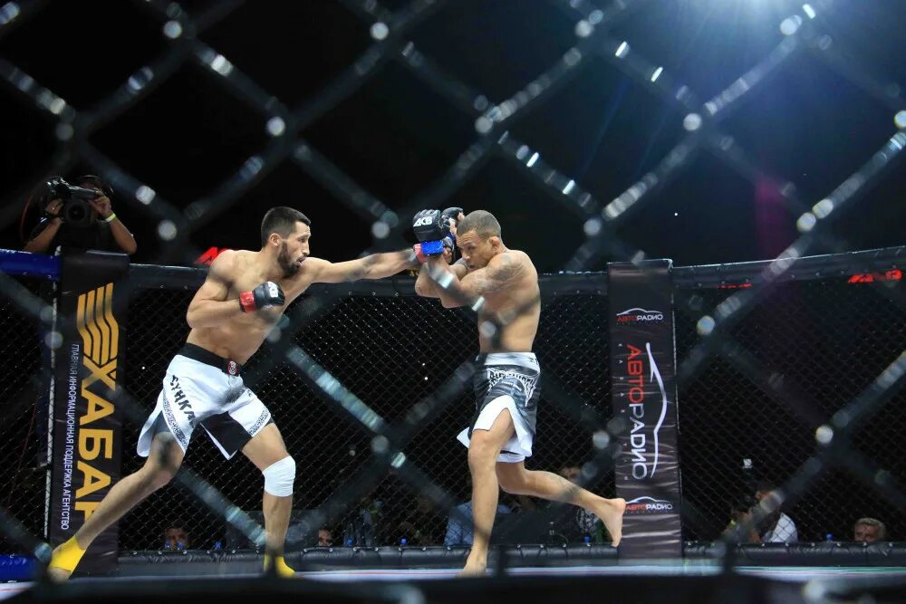 Бойцы мма казахстана. Международный турнир по смешанным единоборствам. Казахстан мма. Смешанные единоборства казахстан. Смешанные единоборства казахстан.