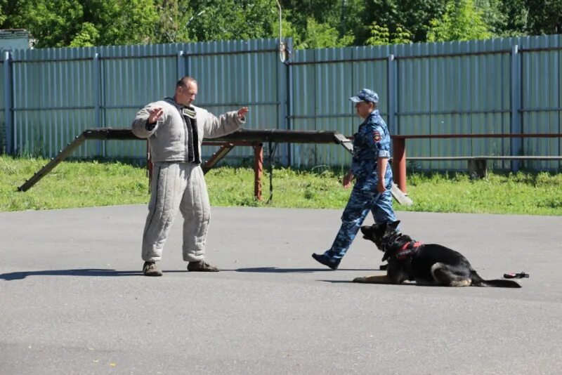 Кинологи цена обучения. Кинологическая служба Североонежск. Кинологический конкурс в Томске. Кинологи МВД России Томск.