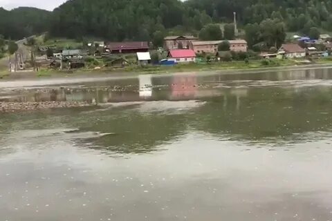 Погода комсомольск кемеровская
