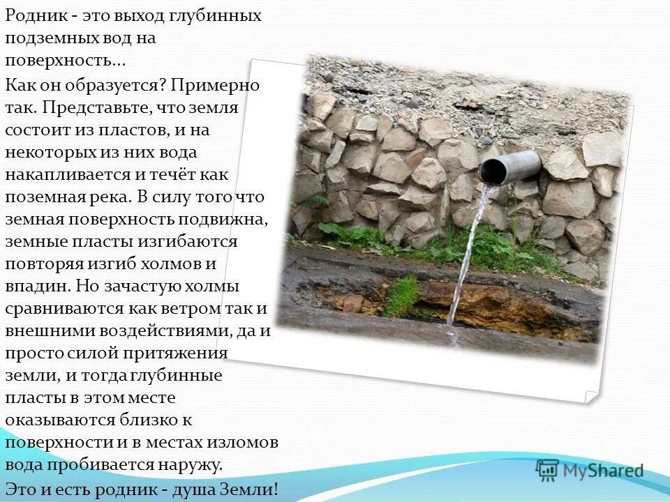 со скольки работает родник