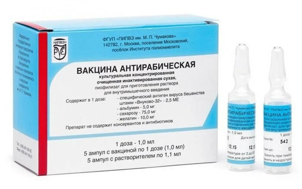 Бивак полиомиелит