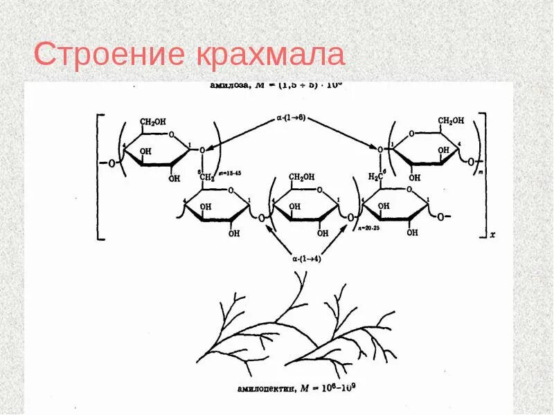 Строение крахмала химия. Крахмал строение. Строение молекулы крахмала. Строение крахмала. Строение макромолекулы амилозы.
