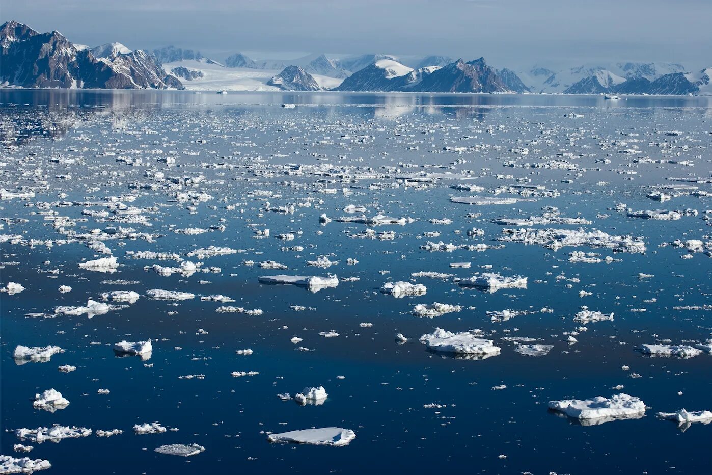 Северный ледовитый океан и антарктида. Северный ледовитый океан и антарктида. Самый северный океан в мире. Ледники антарктиды. Iceberg.