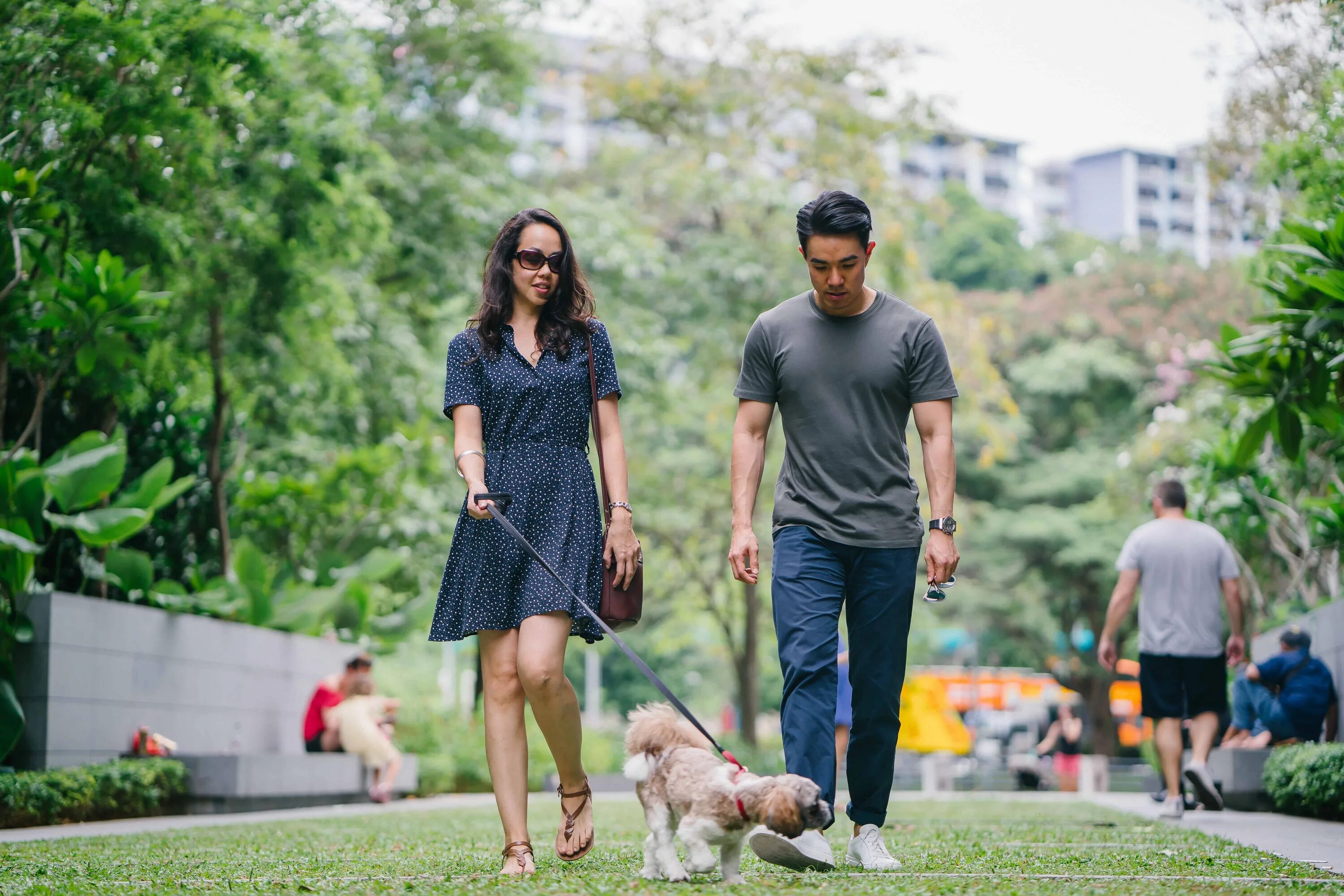 Pet park. Прогулка. Люди гуляют. Пара выгуливает собаку. Человек гуляет с собакой.