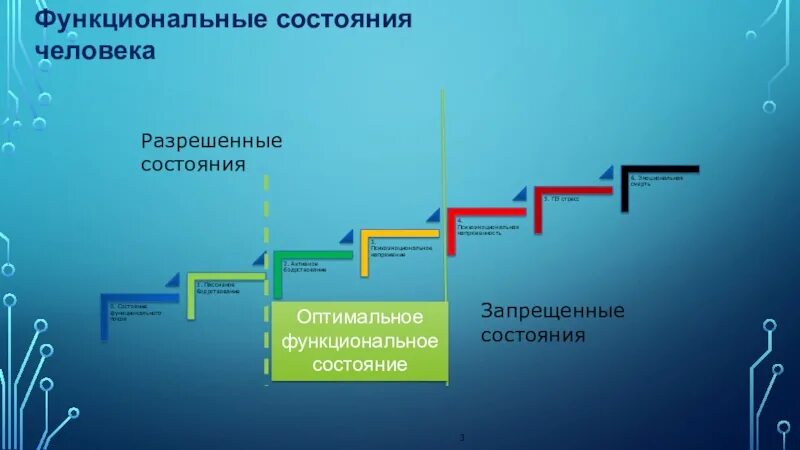 Функциональное состояние человека. Классификация функциональных состояний организма. Виды функциональных состояний человека. Оптимальное состояние человека. Функциональное состояние в процессе деятельности