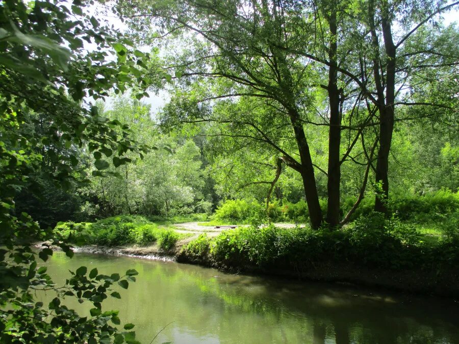 парк заказник долина реки сетунь. заказник долина реки сетунь. природный заказник долина реки сетунь москва. природный заказник долина сетунь. природный заказник долина реки сетунь.