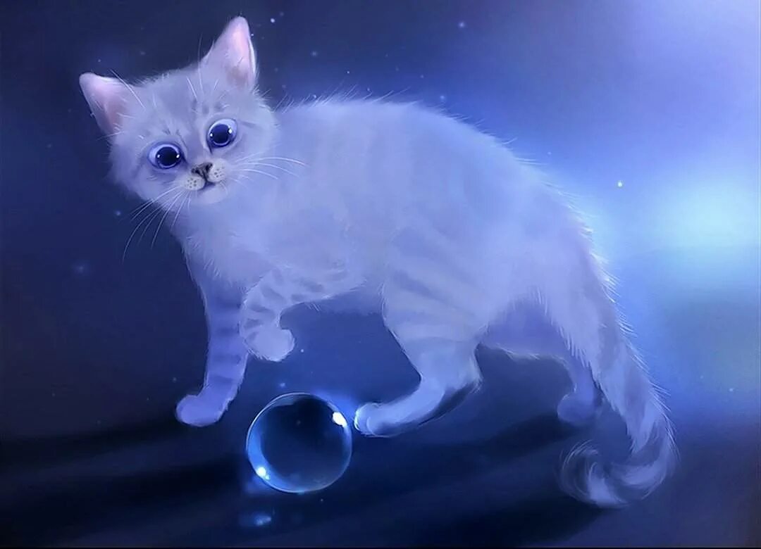 Ледяной котенок