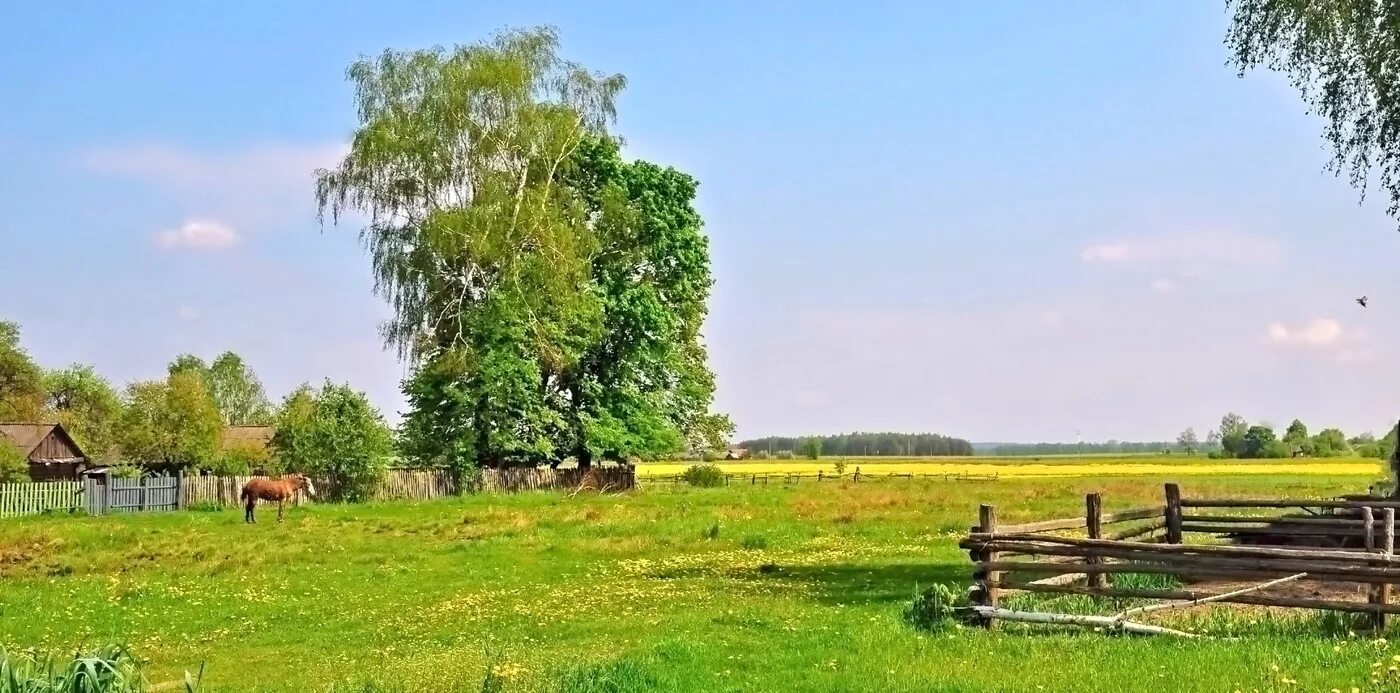 Деревня центр. Село холм-Огарев. Русская деревня Околица. Фон лето в деревне. Фон природа деревня.