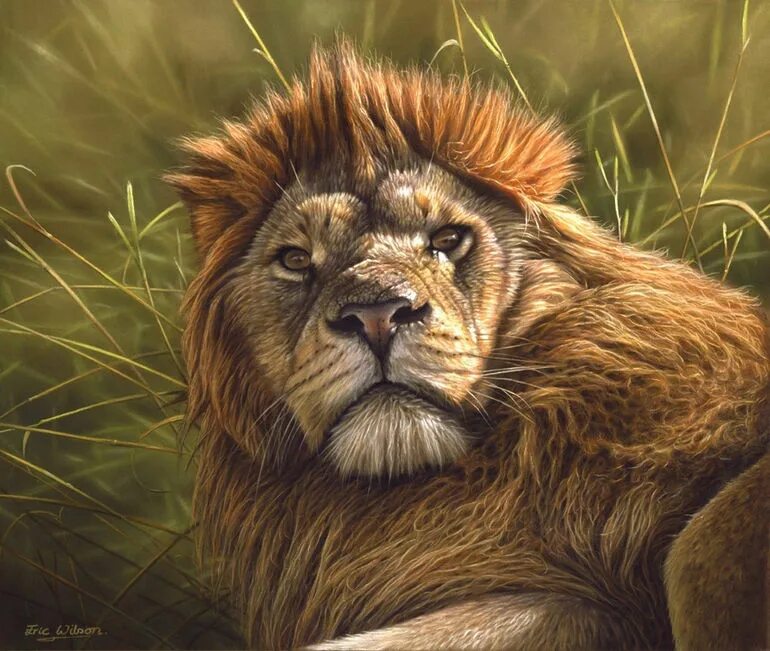 Большой мудрый зверь. Wilson Eric художник. Лев живопись. Картина "Лев".