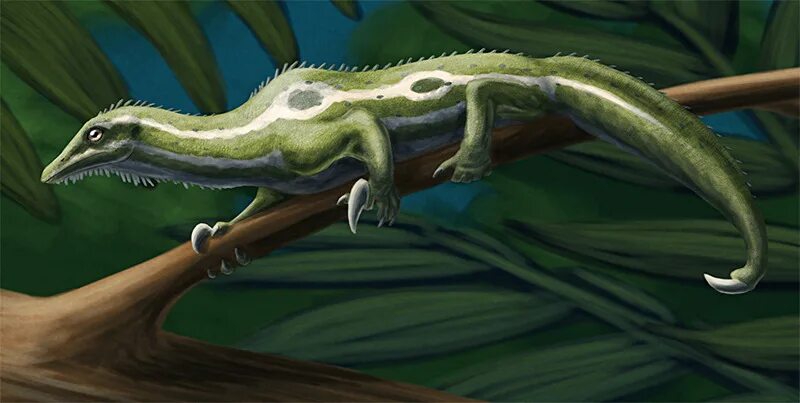 Батарейка ящеров. Drepanosaurus unguicaudatus. Ящерицы Триасового периода. Динозавры Триасового периода.