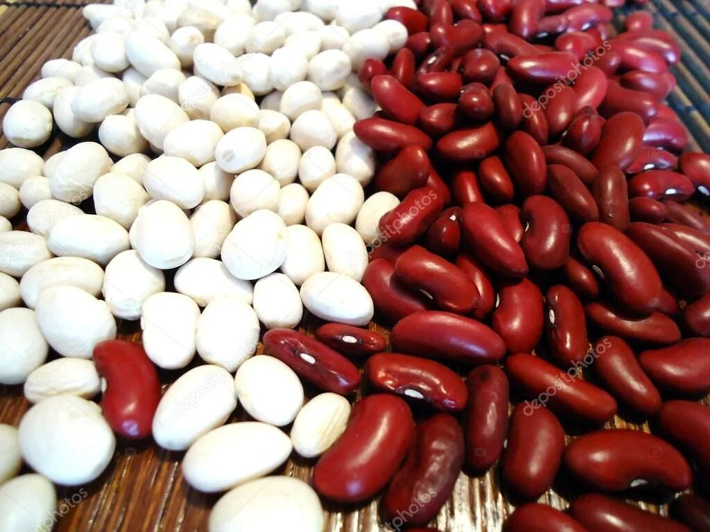 Какая фасоль красная или белая