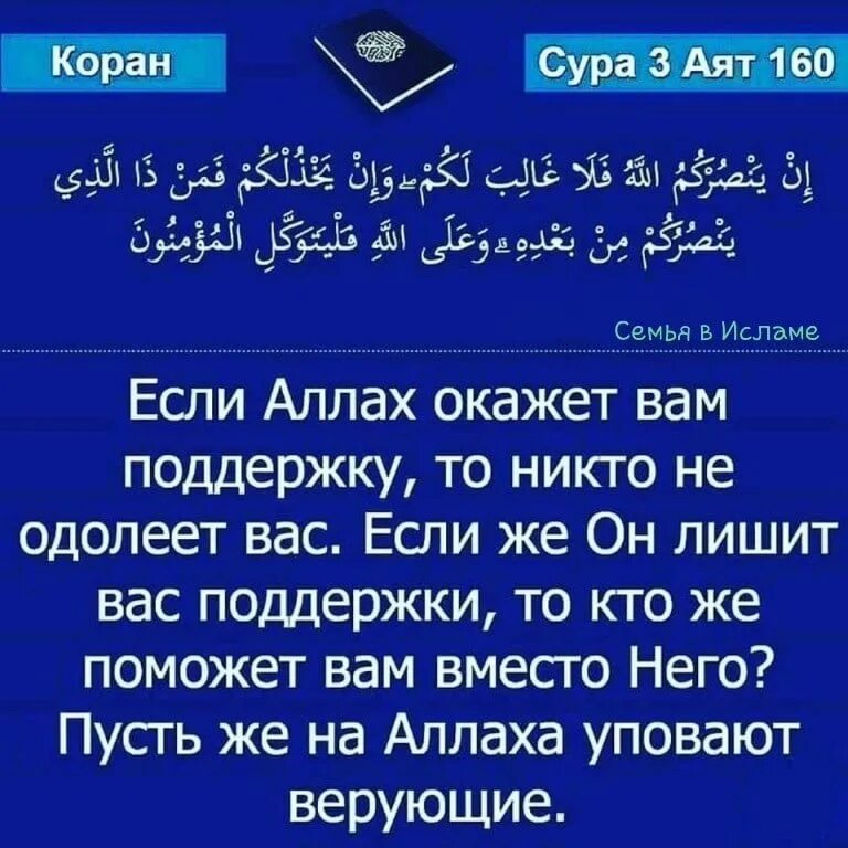 Аль бакара 10. Суры из Корана. Мусульманские Суры. Суры и аяты. Суры и аяты из Корана.