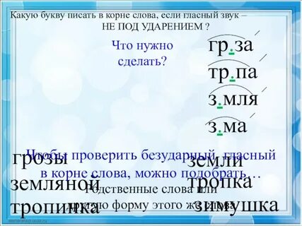 Две буквы в корне