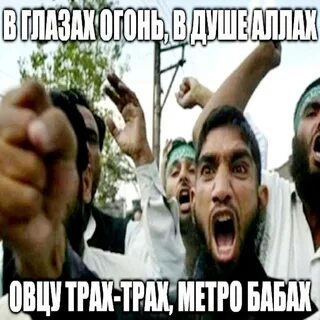 Коран един читай баран