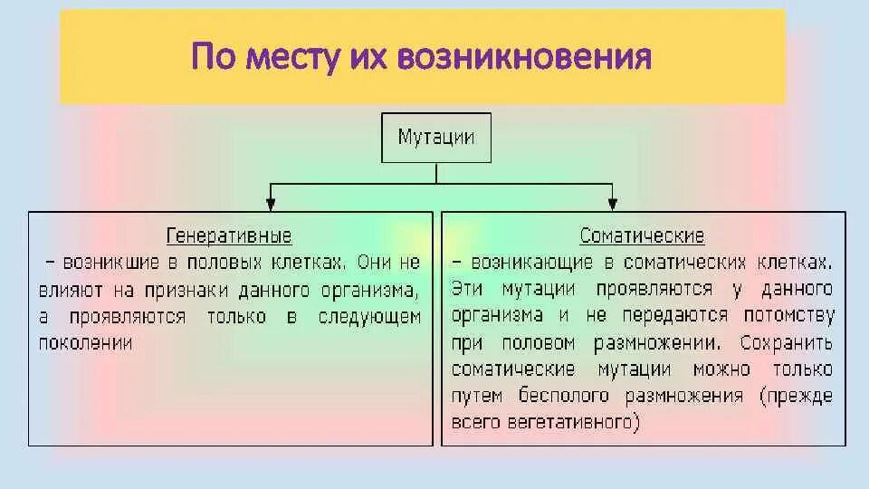 Появление мутаций при половом размножении. Соматические и генеративные мутации. Характеристика соматических мутаций. Место возникновения мутаций. Мутации по месту возникновения.