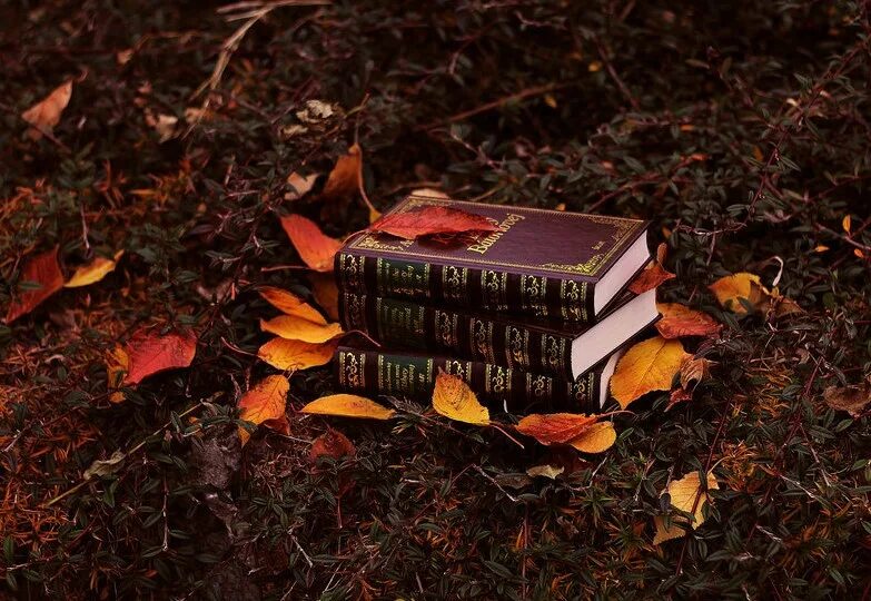 осенне чтение. фотосессия с книгой осенью. девушка осень. чтение осенью. красивые книги.