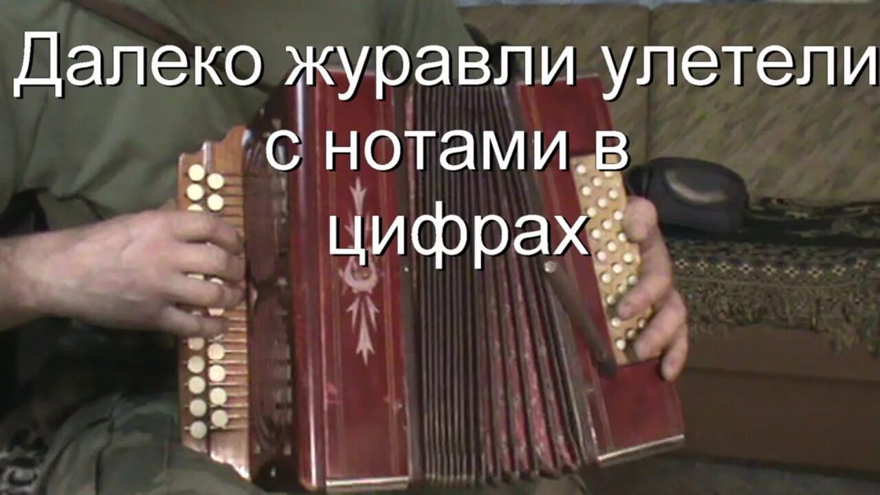 Гармонь полынь трава песня. Разбор на гармони с цифрами. Видеоразборы на гармони с цифрами. Далеко далеко Журавли улетели Ноты.