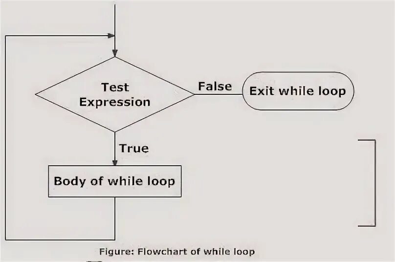 Цикл while true. While js. While loop. While true на схеме.