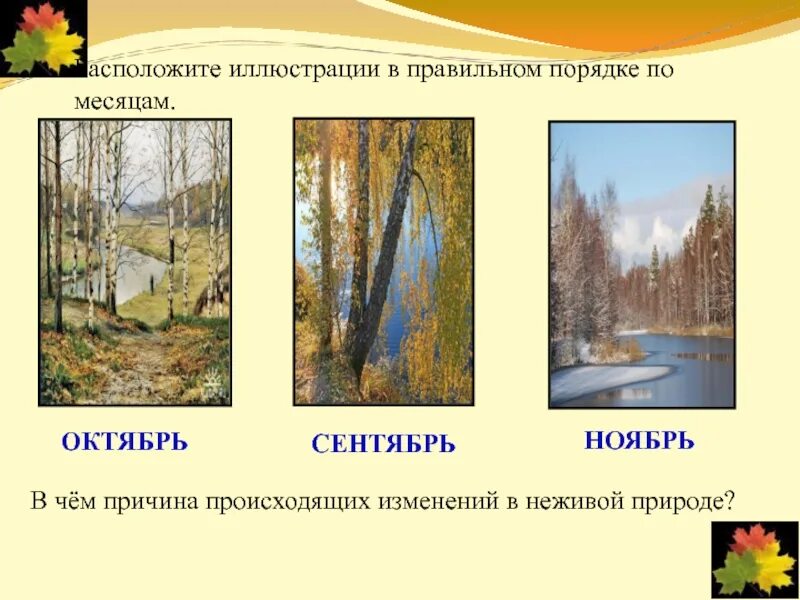 Сезонные изменения в природе и их причины. Осенние изменения в природе. изменения в природе осенью. изменения в живой природе осенью. сезонные изменения в природе осенью.