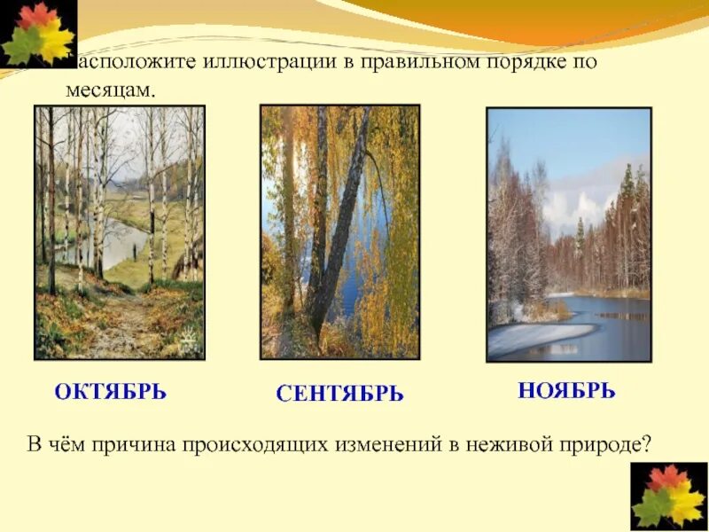 Поведение и сезонные явления. Сезонные изменения в неживой природе осенью. Осенние изменения в природе. Сезонные изменения в природе осень. Изменения в живой природе осенью.