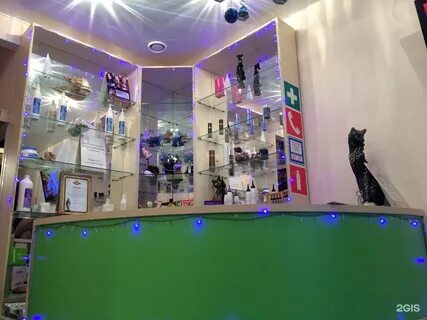 Пантера ижевск салон