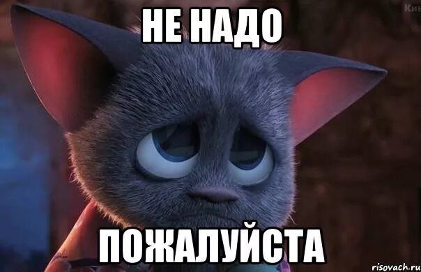 Включи пожалуйста работа. Не надо пожалуйста. картинка пожалуйста не надо. котик пожалуйста не надо. ну пожалуйста.
