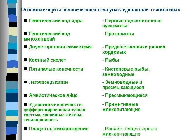 Какие признаки человека и животного общего. Основные черты человека унаследованные от животных таблица. Черты человека унаследованные от животных. Основные черты человеческого тела. Основные черты человека тела унаследованные от животных.