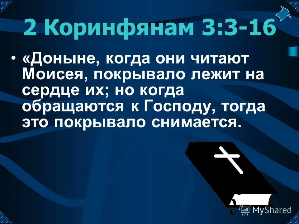 Доныне это. Цветаева красной рябины горькую кисть. Надоедаю как пишется. Доныне это. Доныне это.