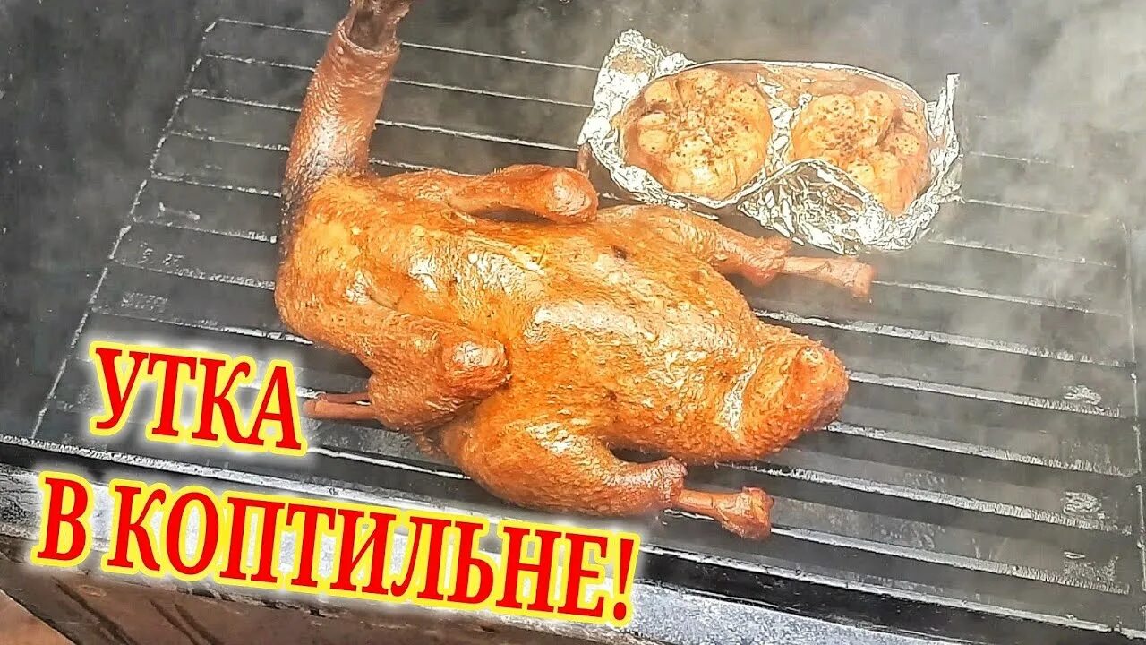 Сколько коптить утку горячего. Копченая утка. копченые утки. утка в коптильне горячего копчения.
