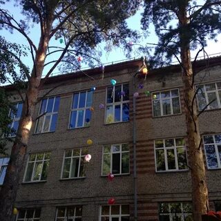 Спортивная школа новосибирск
