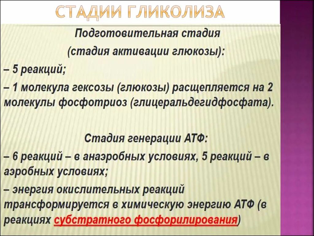 Подготовительная стадия гликолиза. Подготовительный этап гликолиза. Фазы гликолиза. Этапы гликолиза. Количество этапов в гликолизе